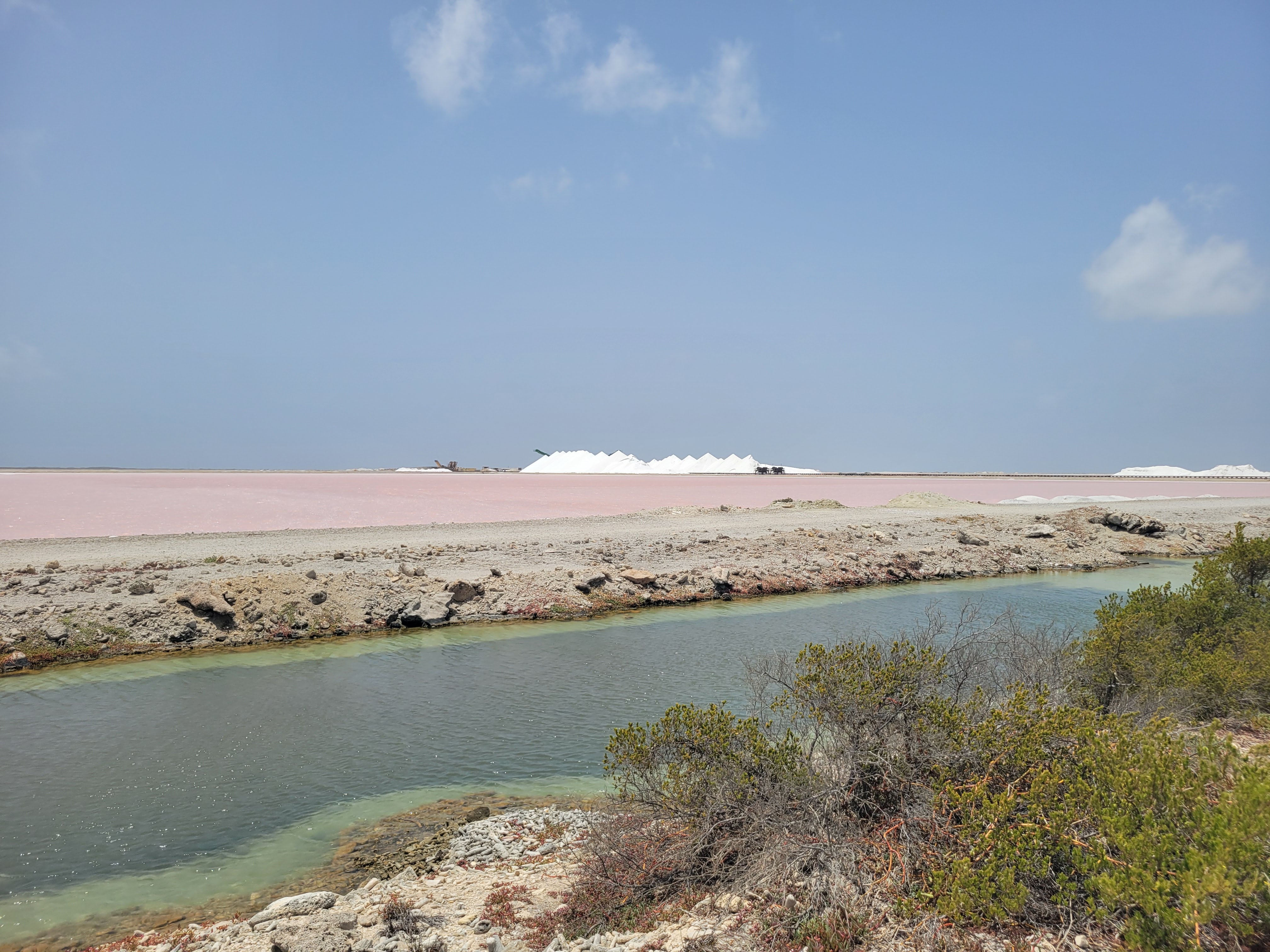 Bonaire Salt Flats