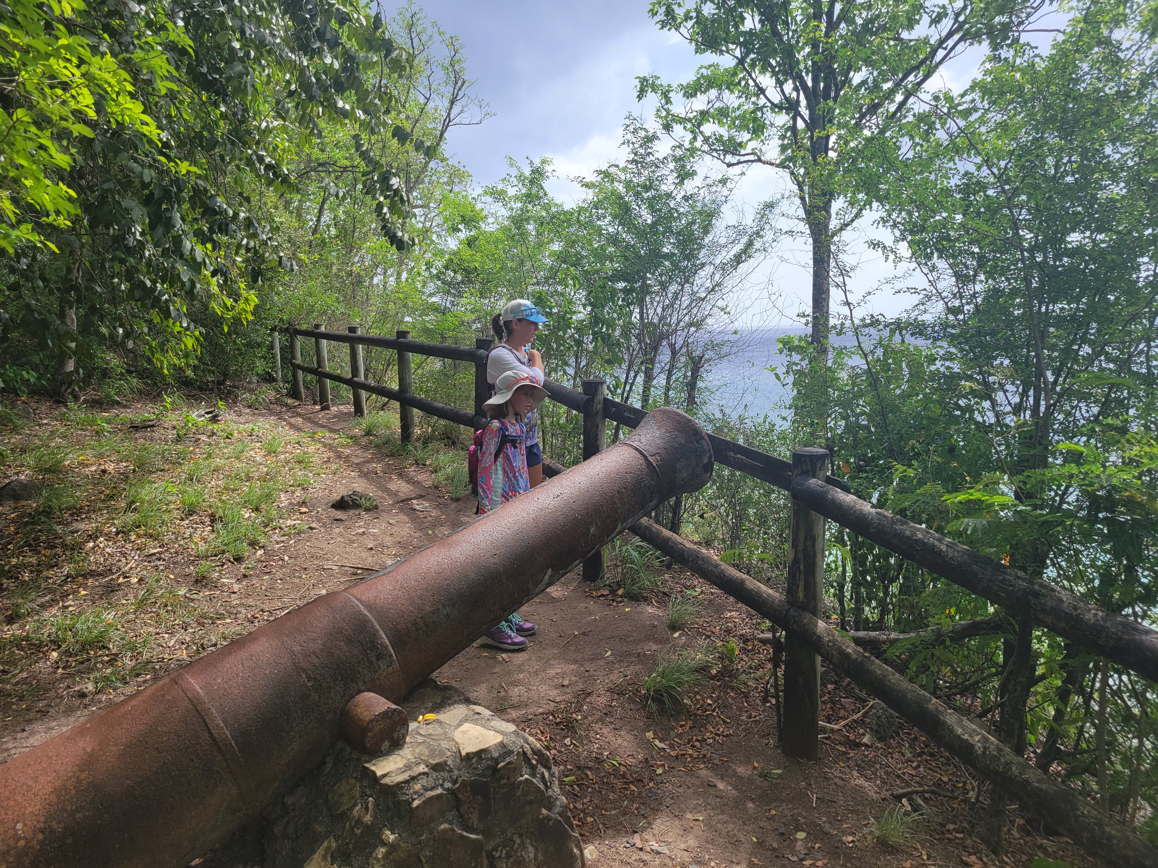 Cannon On Deshaies Hike