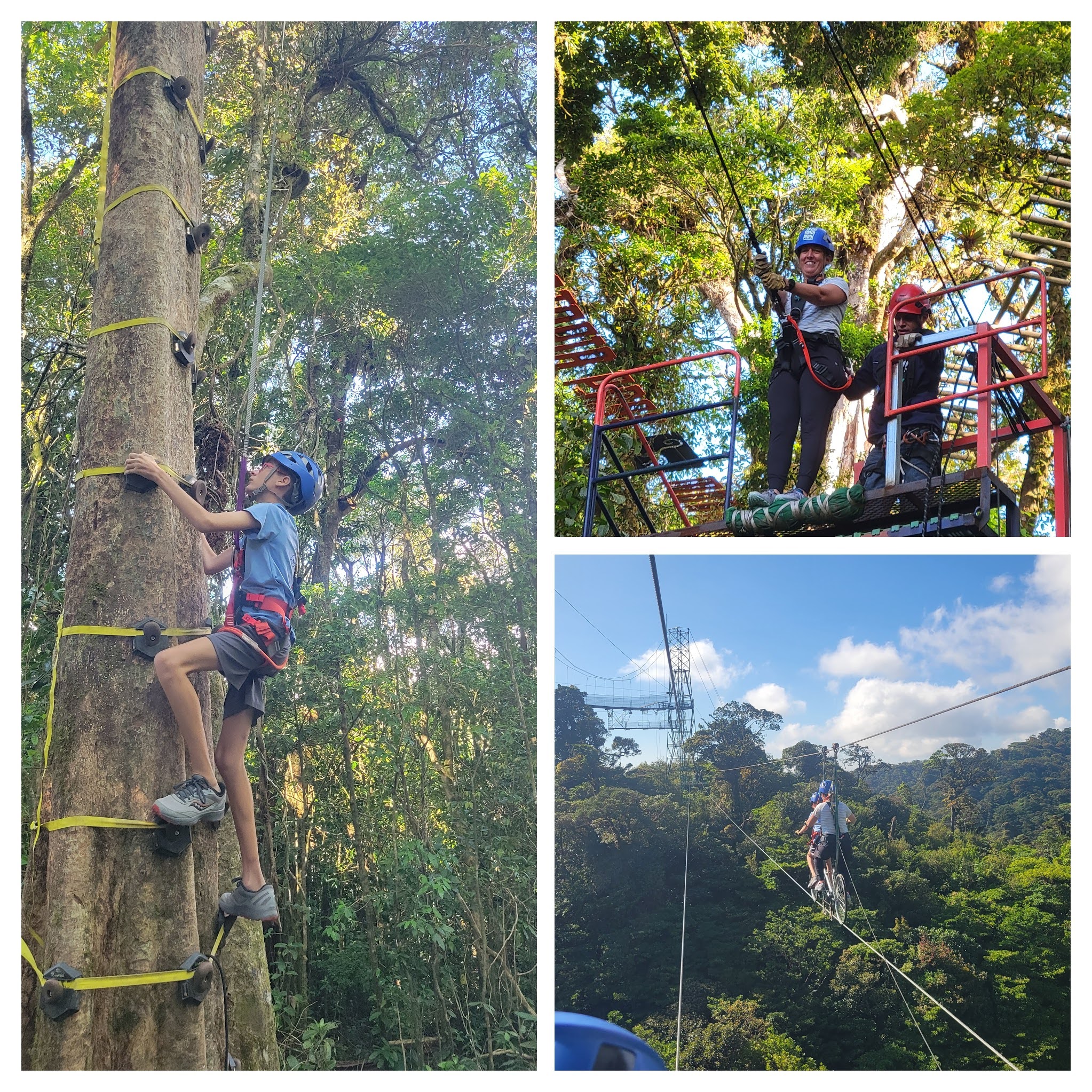 Challenge Course Monteverde