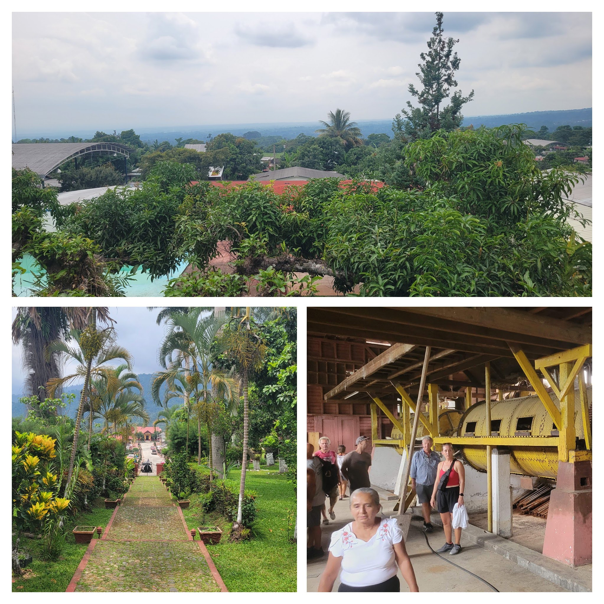 Coffee Farm