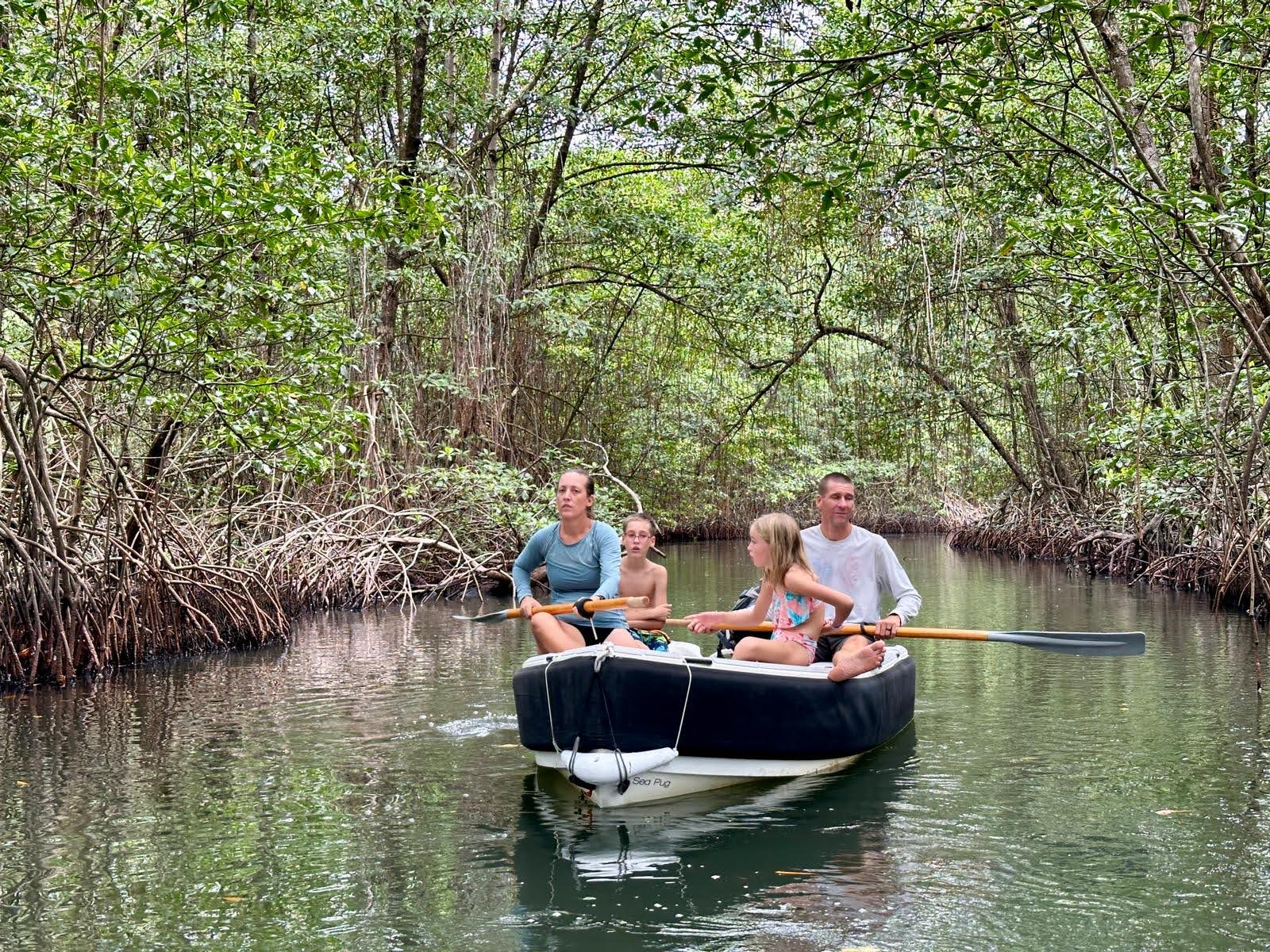 Dinghy Ride To The Sloth In Bastimentos