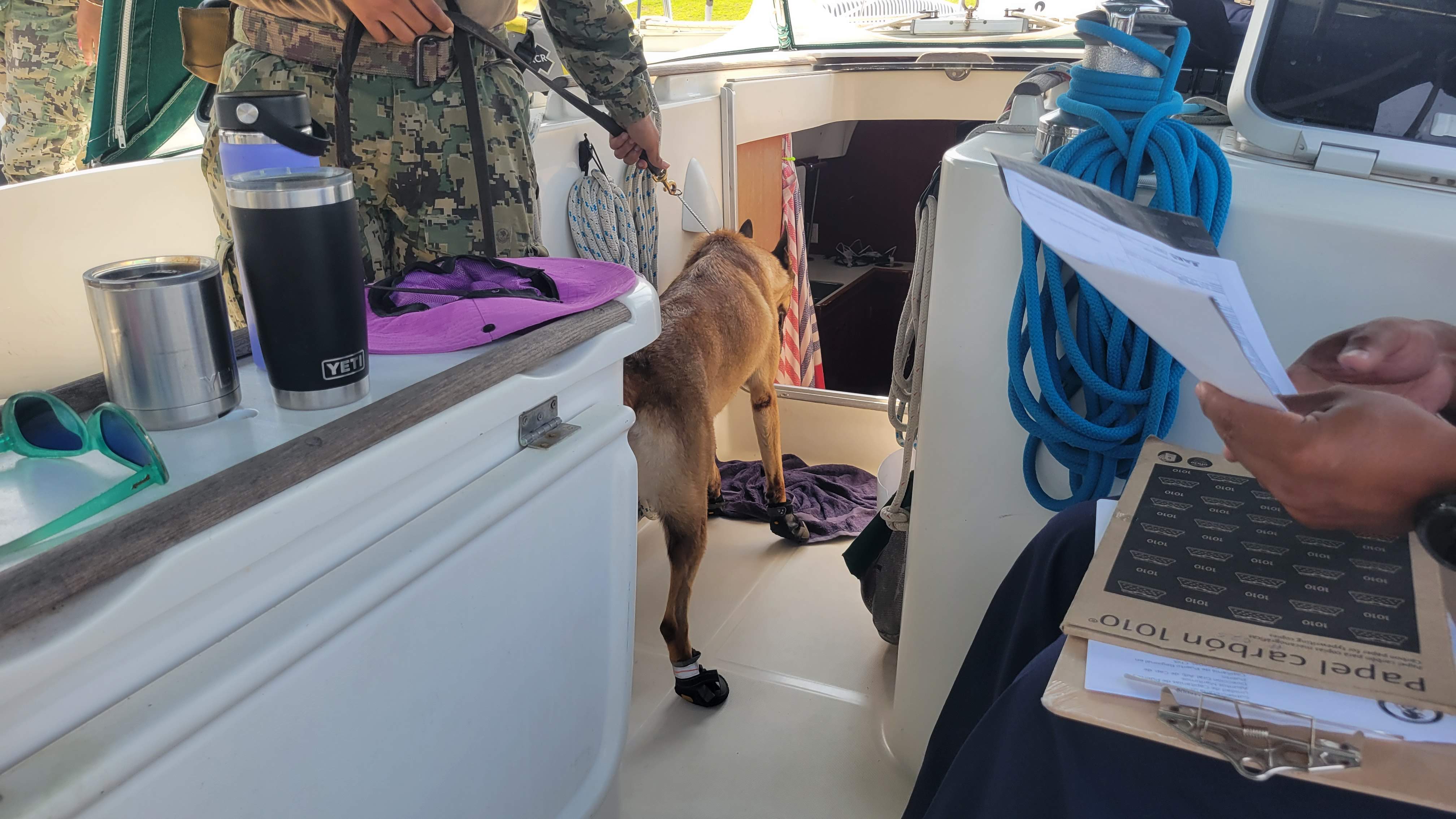 Drug Dog In Boots