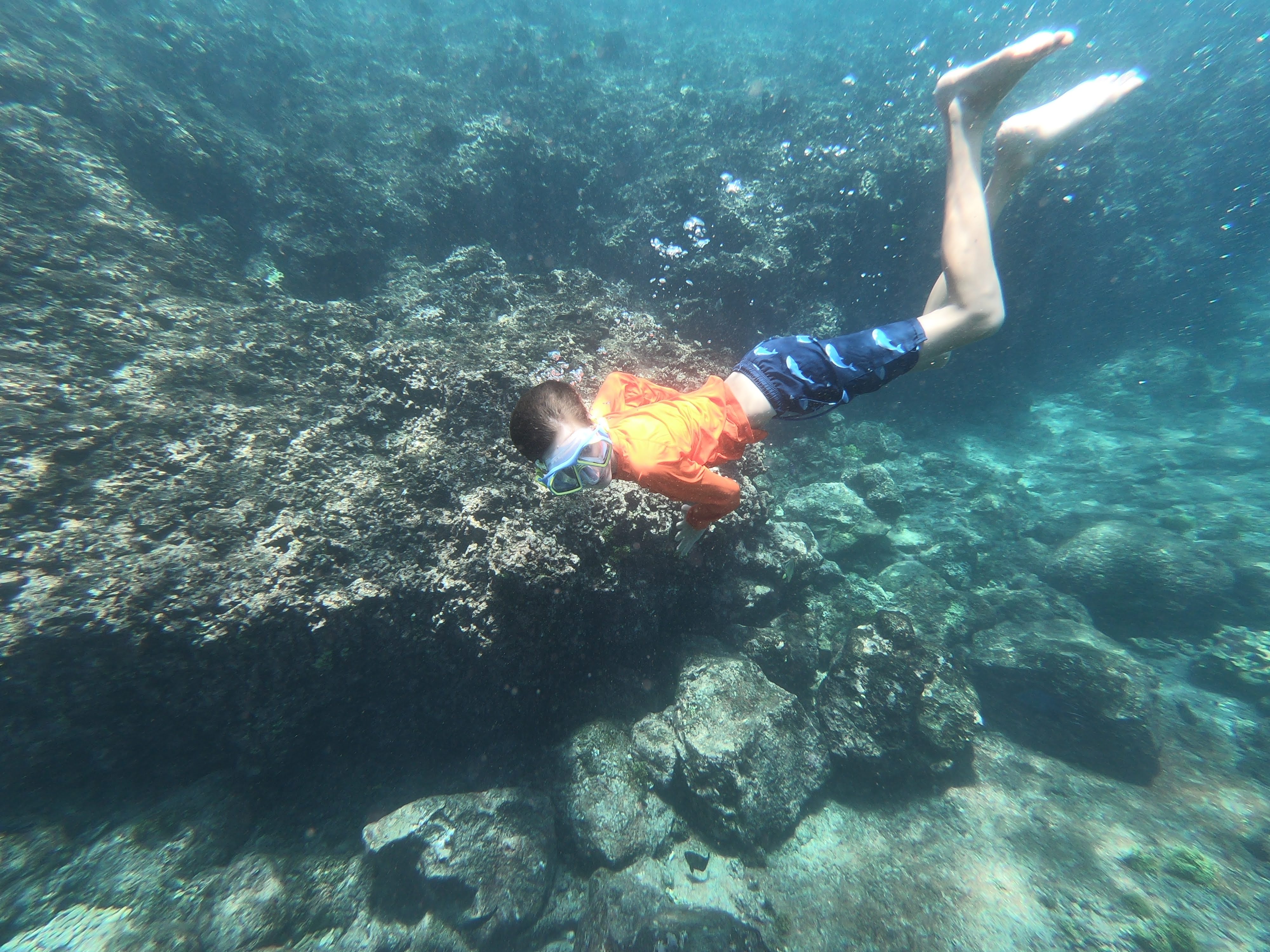 Dublin Snorkeling Isla Isabel