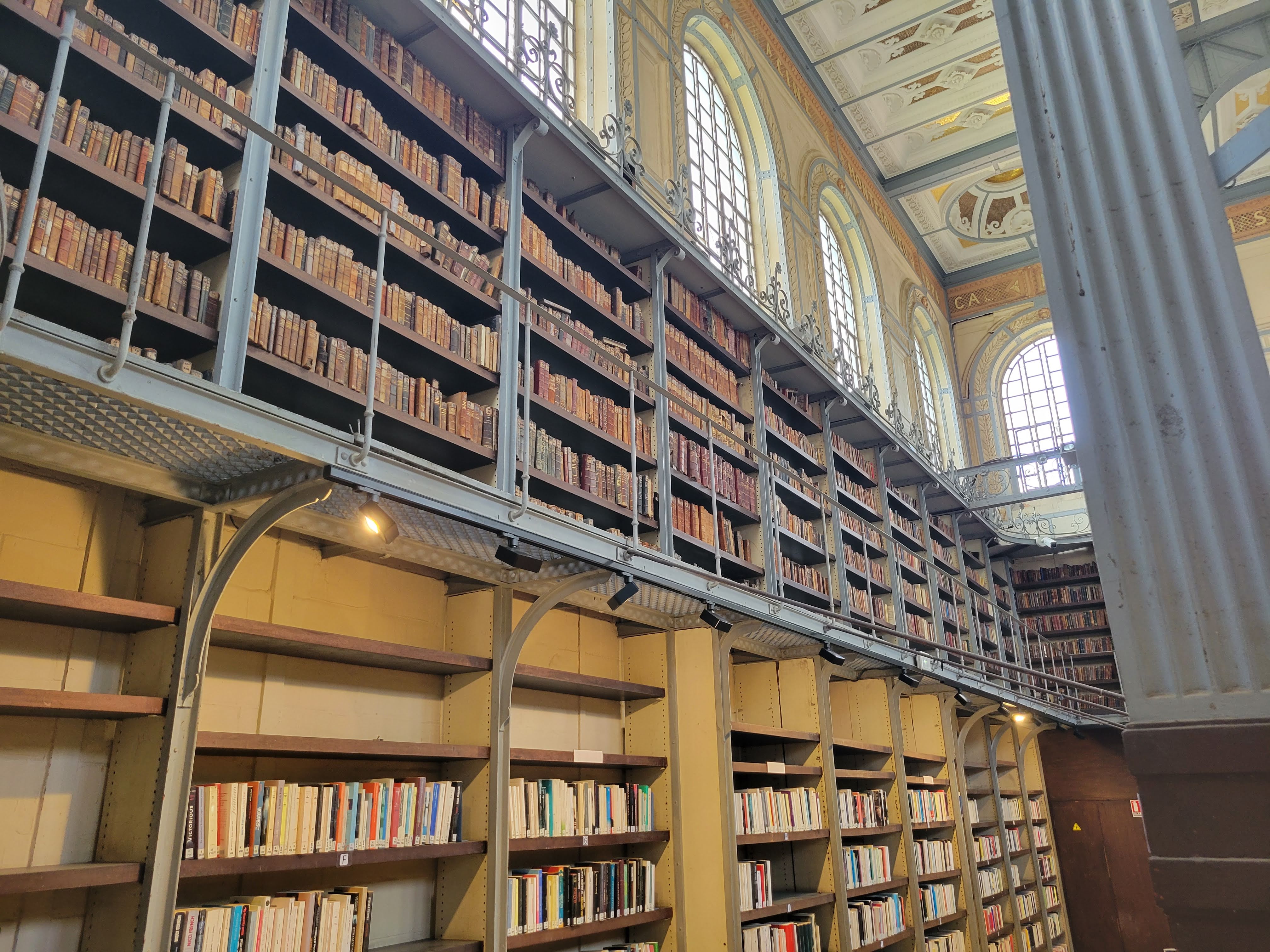 Frame Inside Bibliotèque Schoelcher