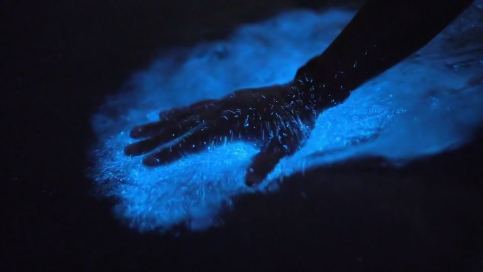 Glowing Hand Image