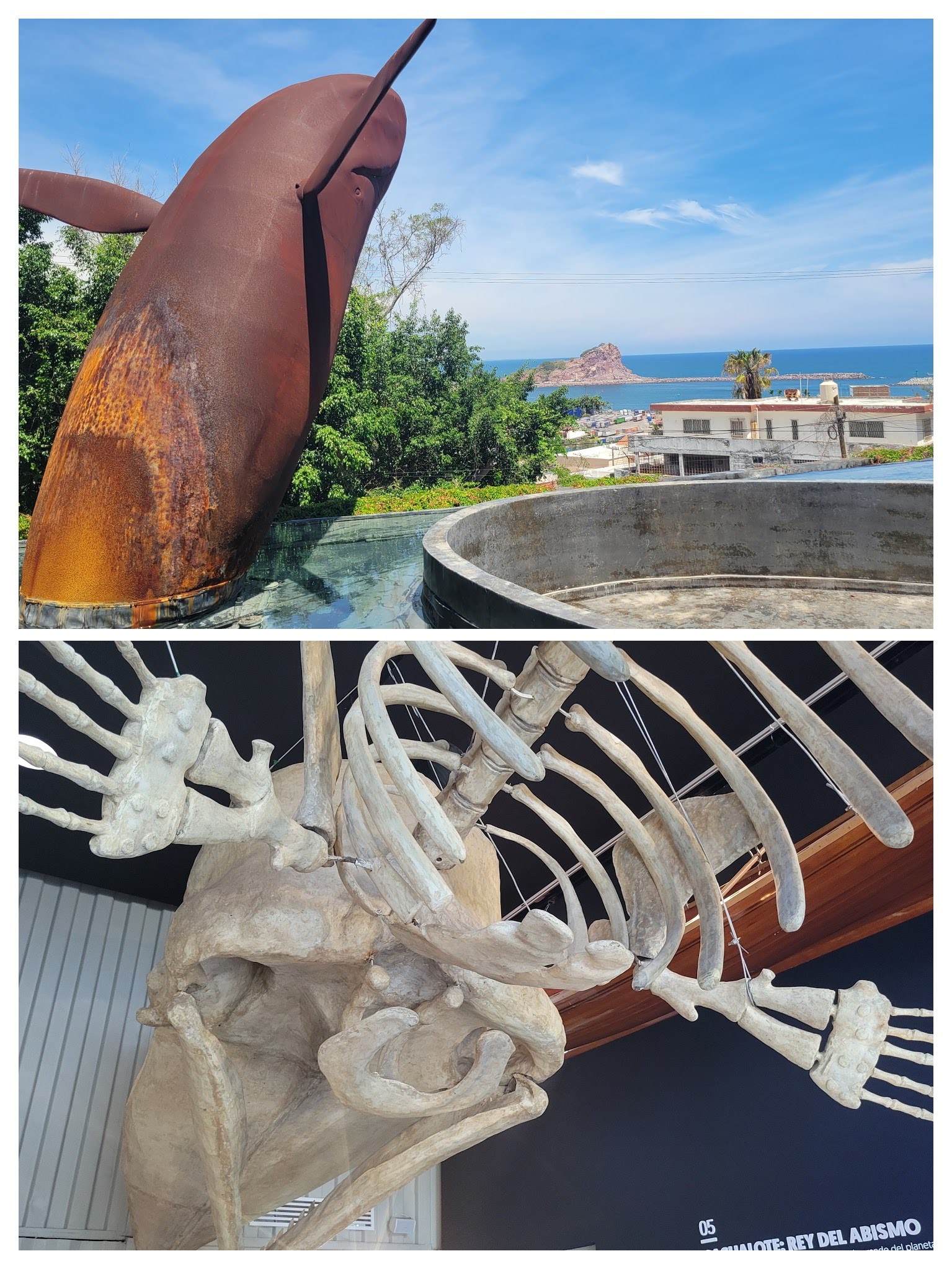 National Whale Museum