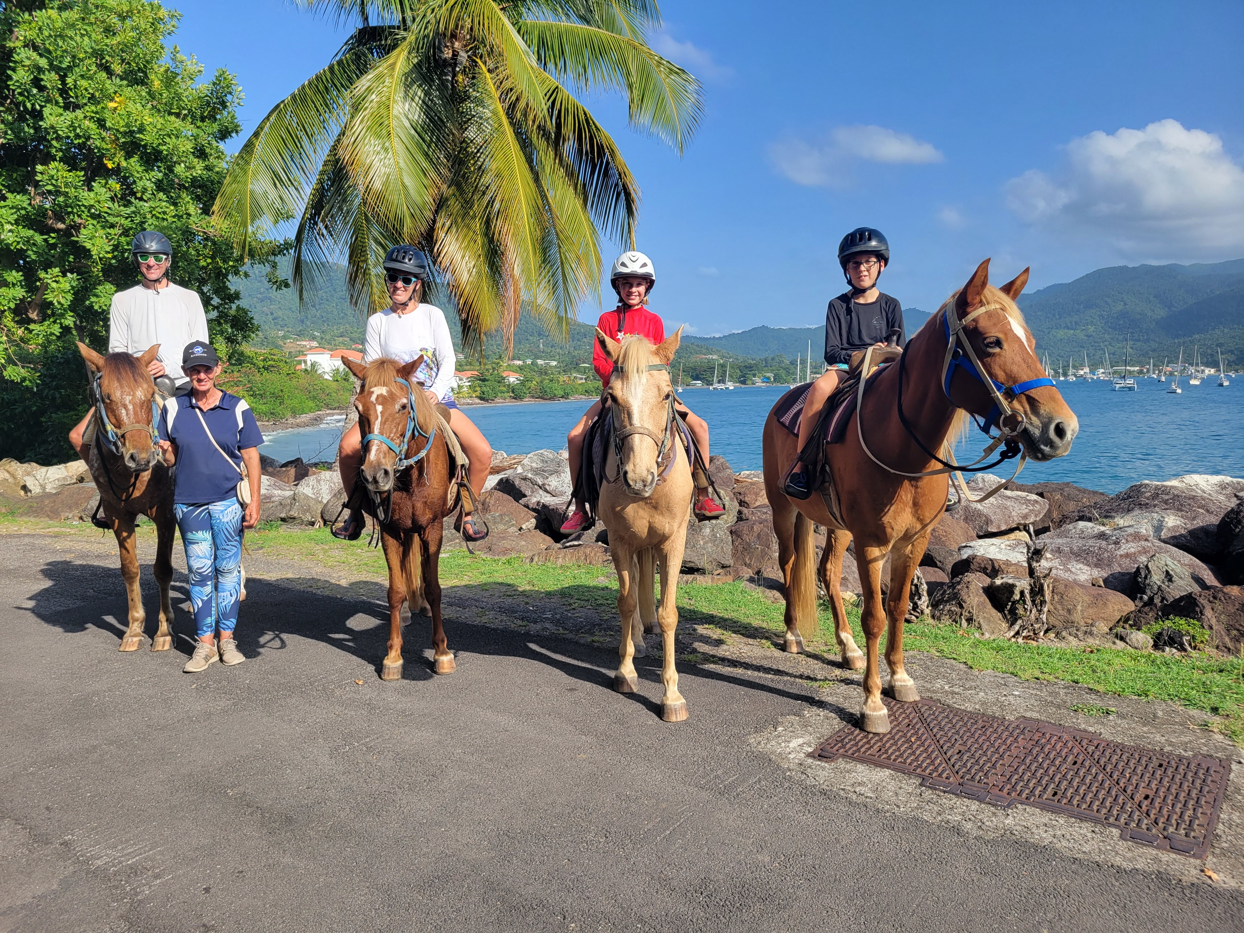 On Horses In Dominica