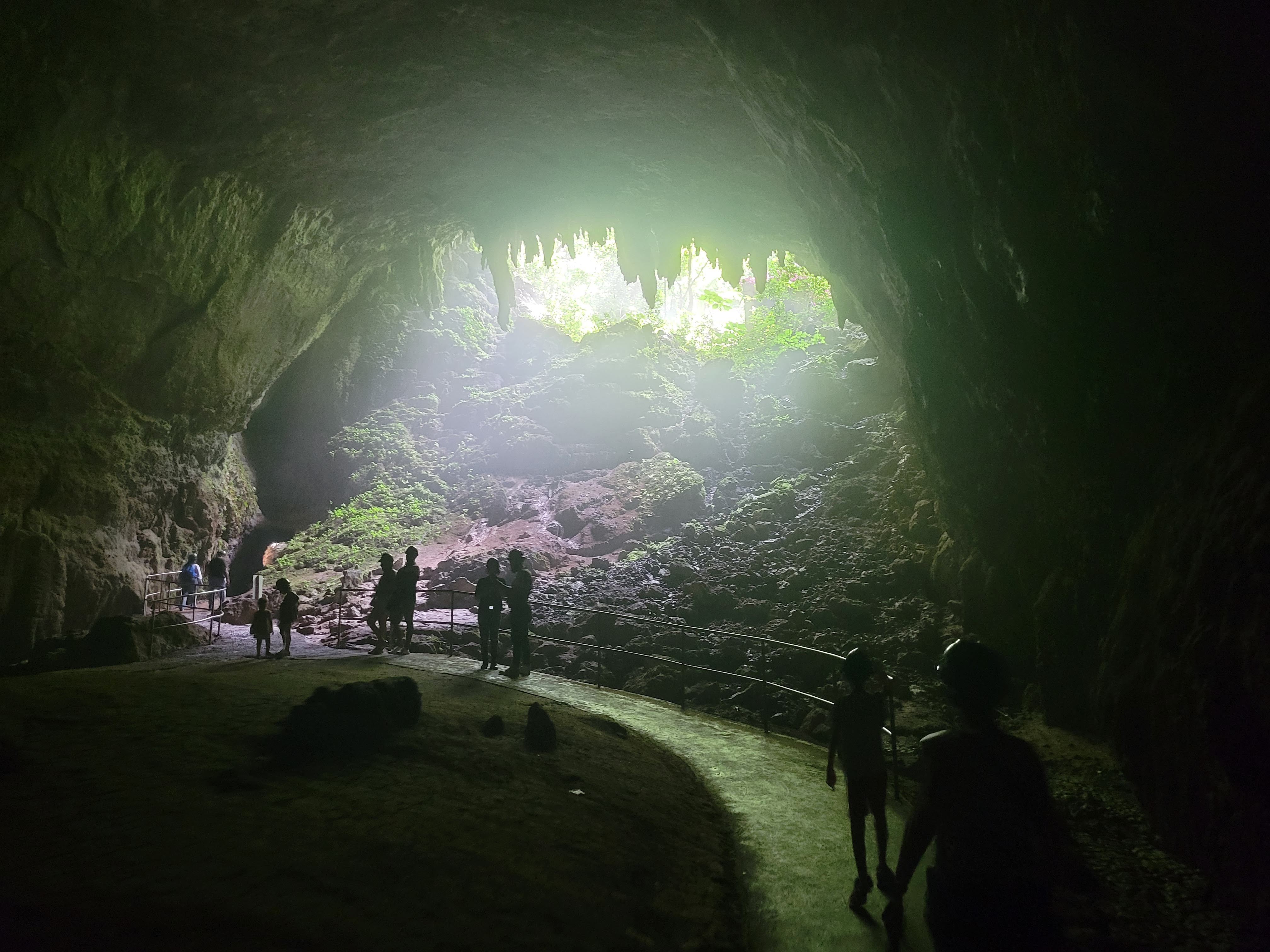 Rio Camuy Cave Entrance