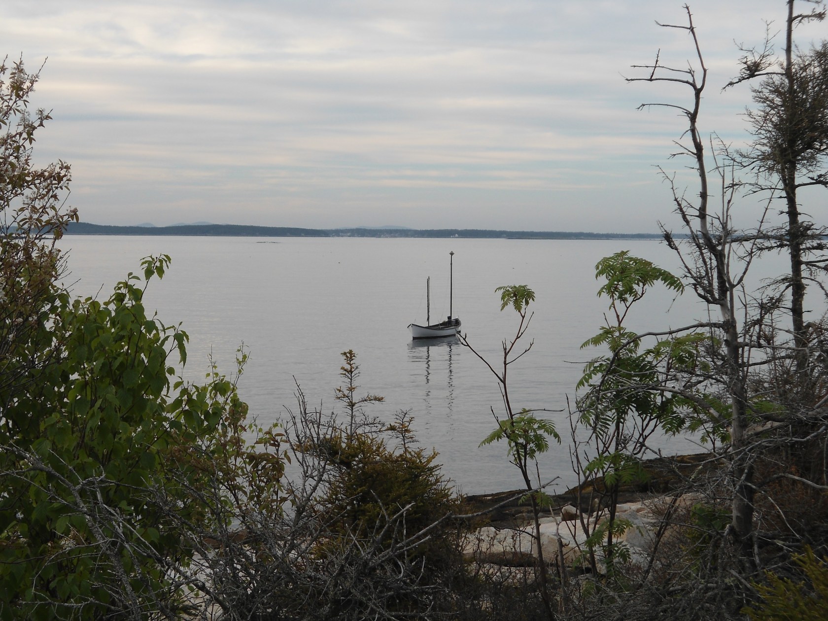 Sally M at anchor