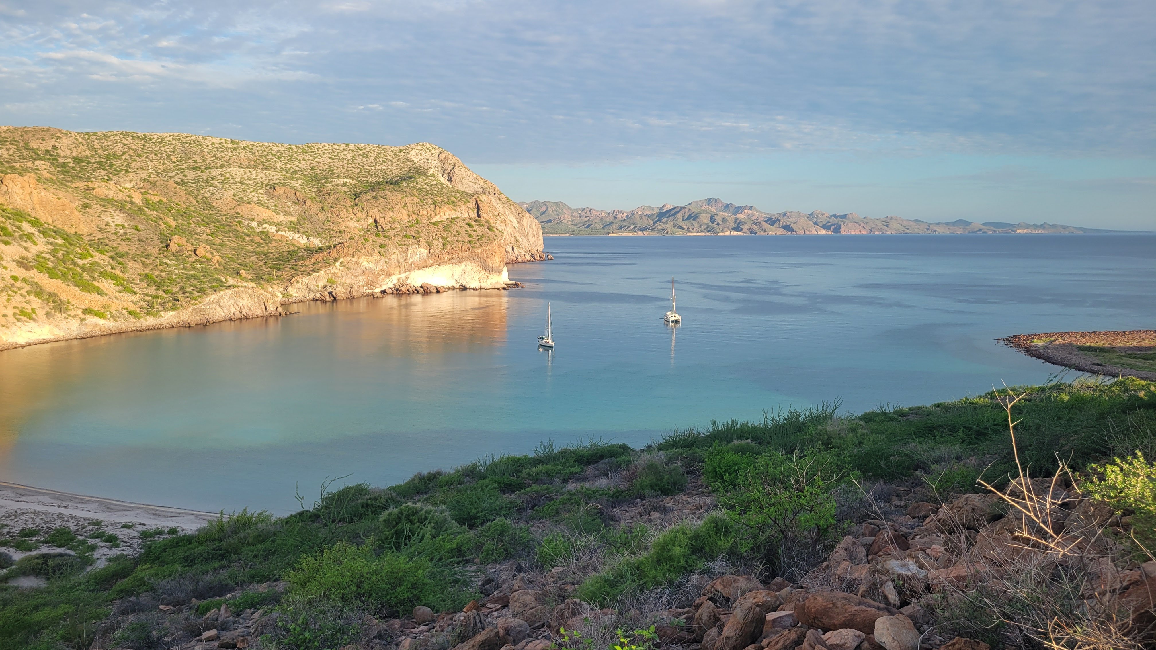 Sea Horse And Selador In Ramada Cove