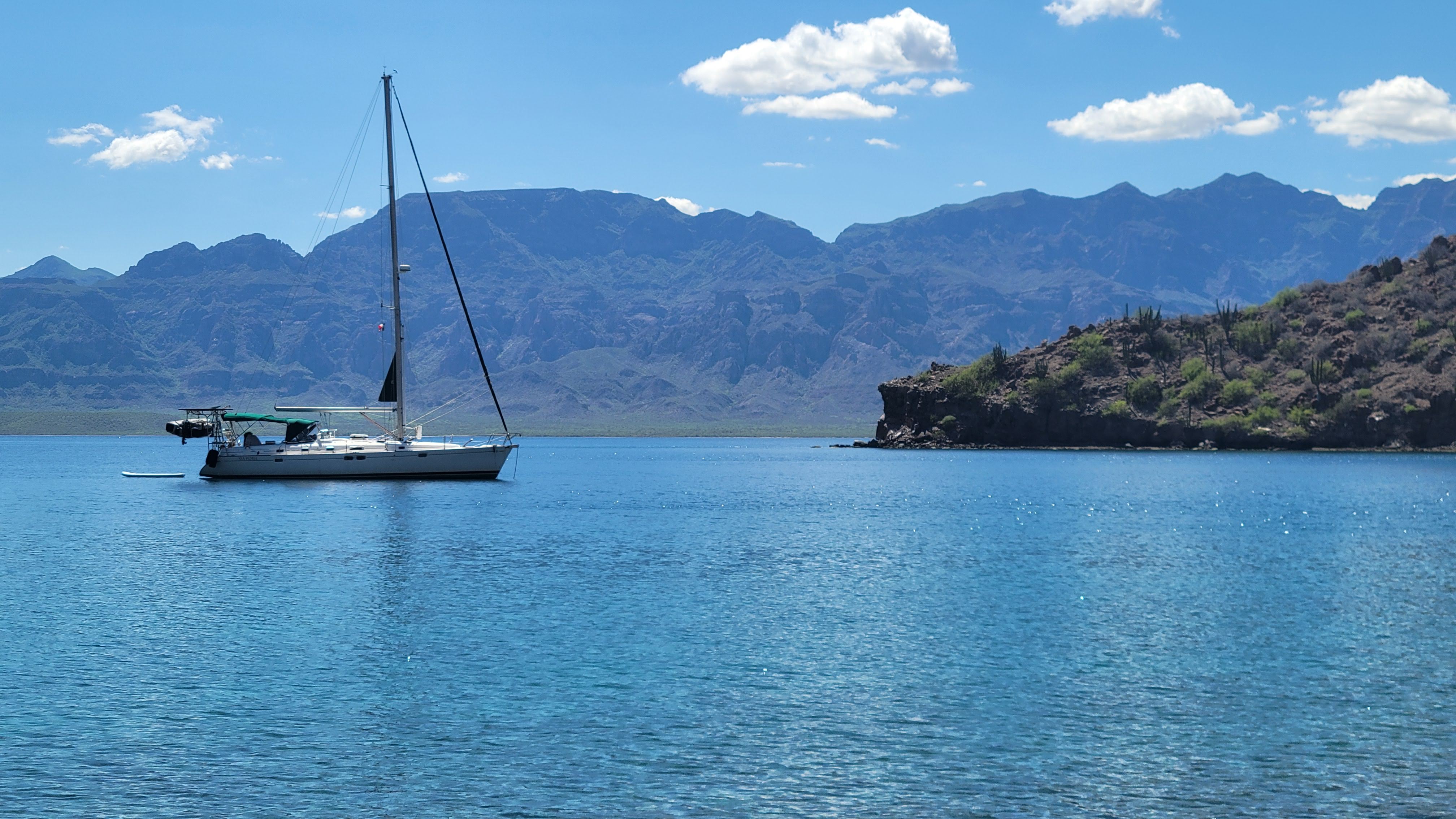 Sea Horse In Honeymoon Cove