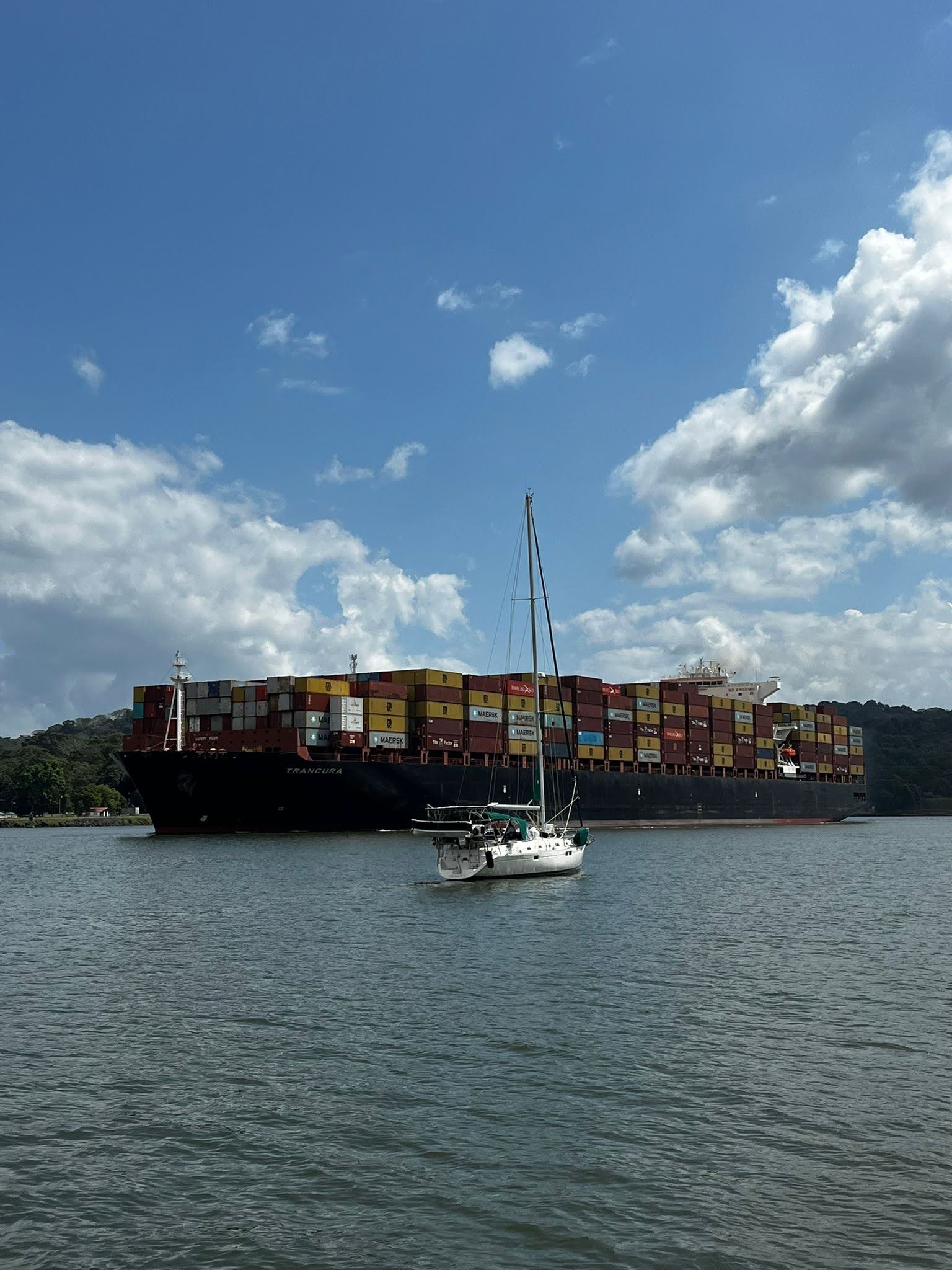 Sea Horse Next To Big Ship