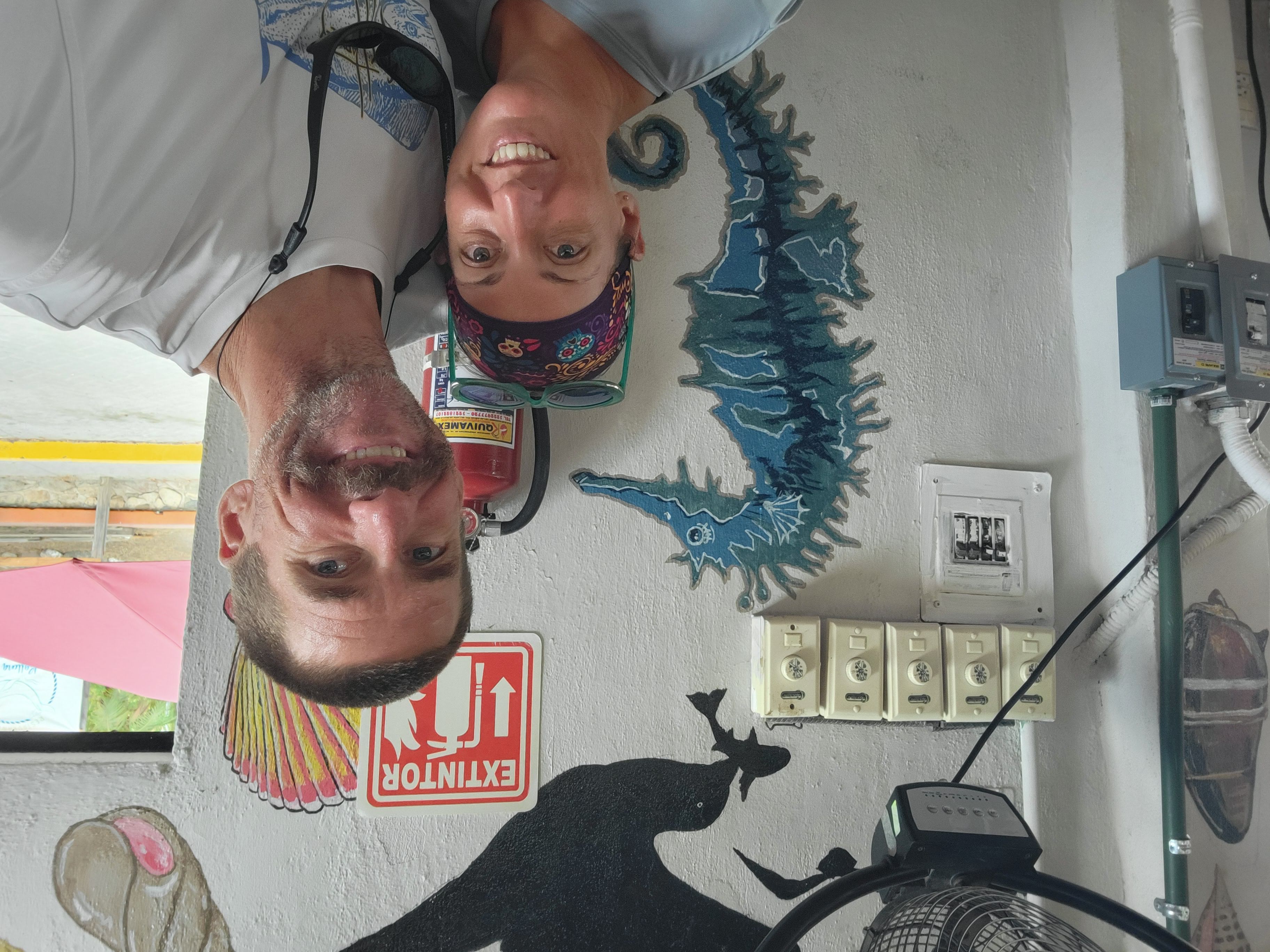 Sea Horse Painting In La Cruz