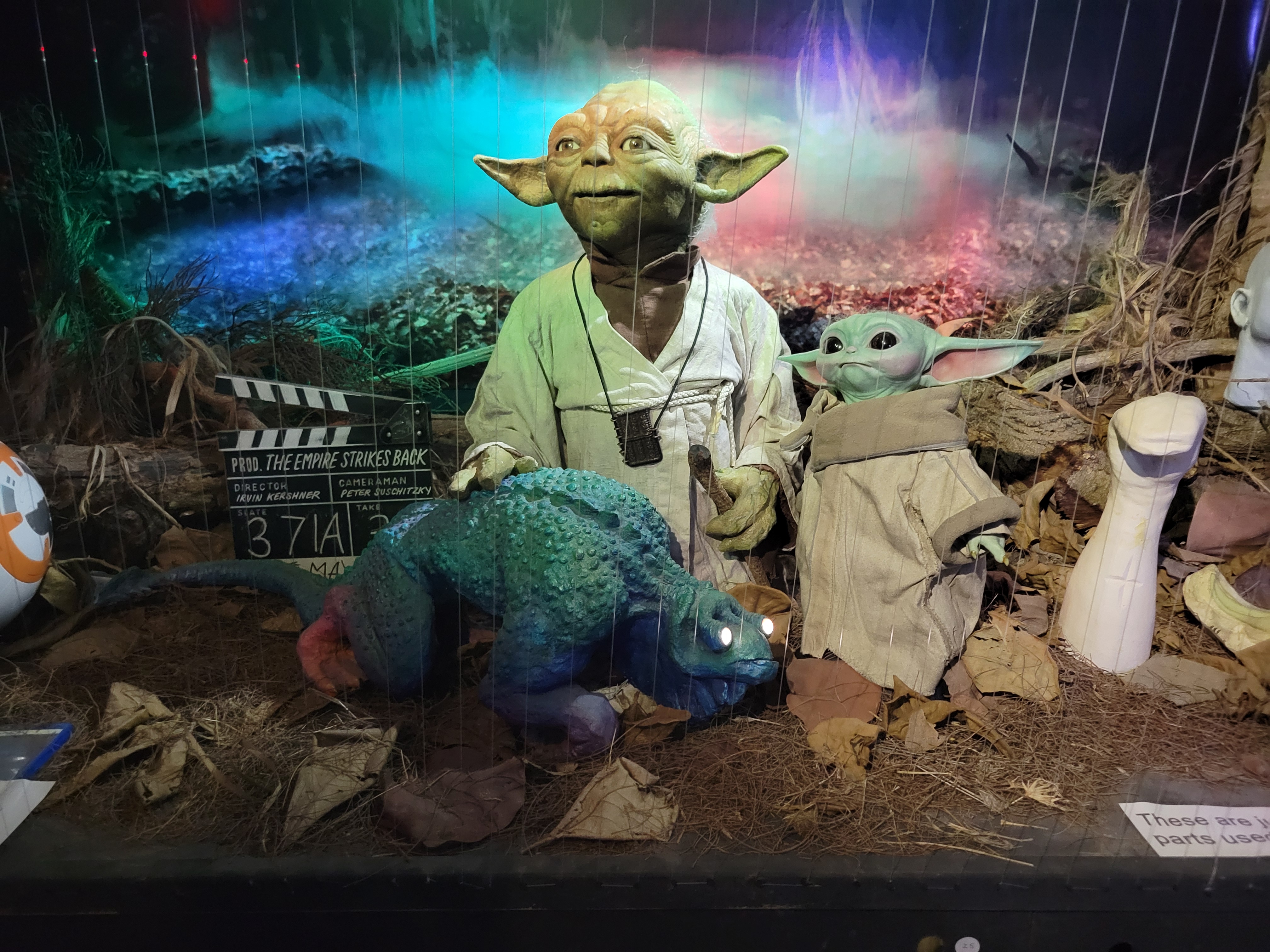 That Yoda Guy Museum