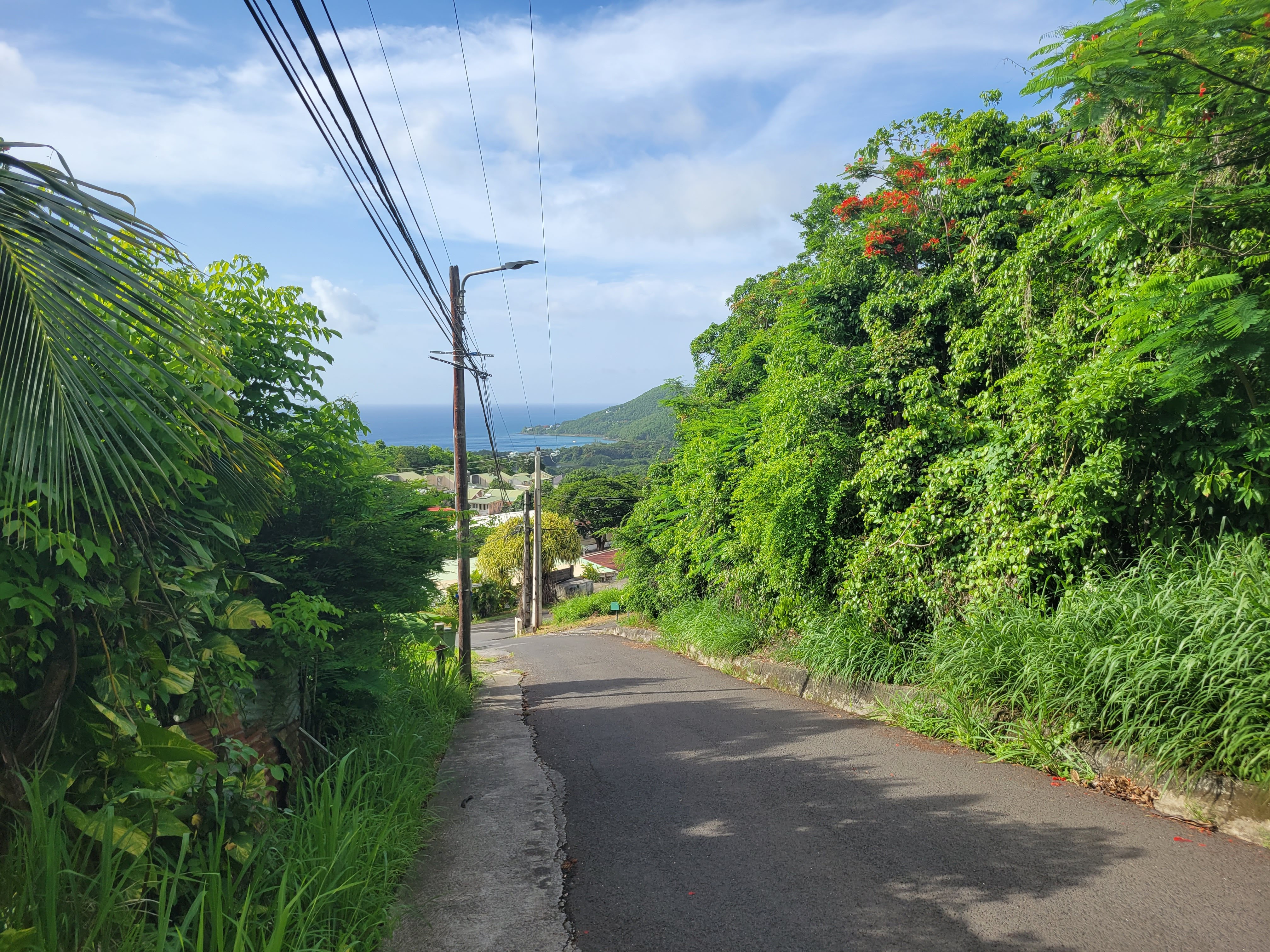 View From Running Hill Deshaies