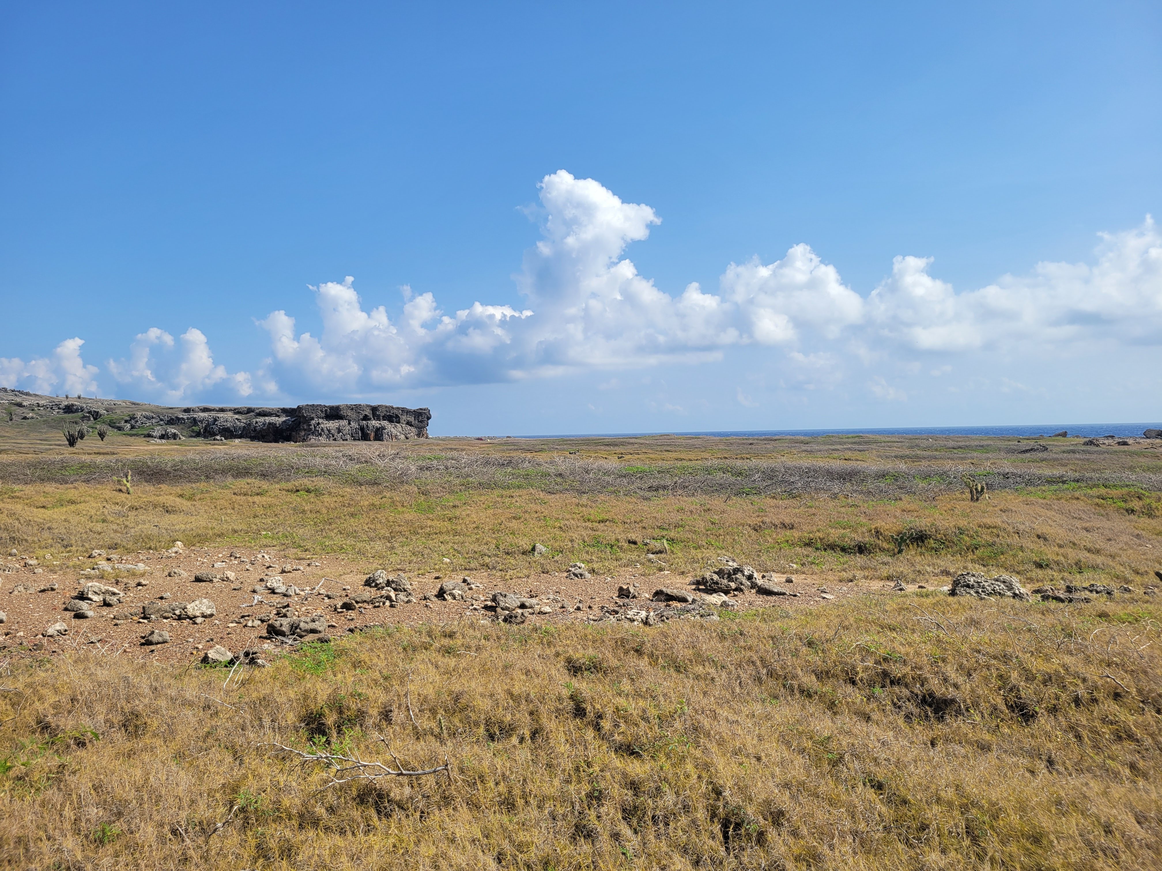 Washington Slagbaai Mesa